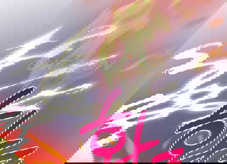 173050018228062mx8xs0ubo.jpg