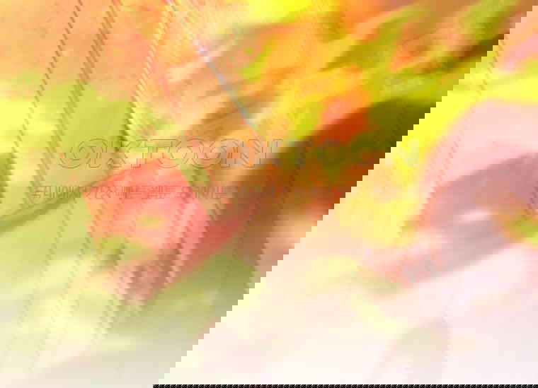 1730500188309wykz5d1z2dr.jpg