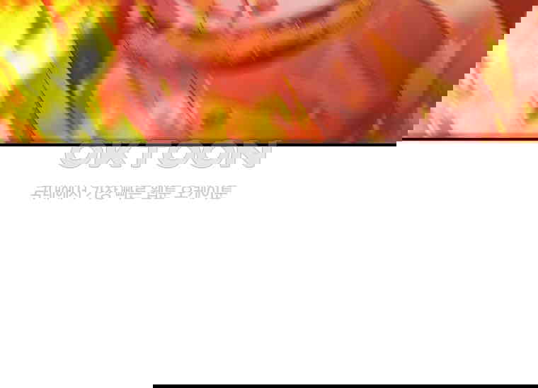1730500189386c6lj8aypy86.jpg