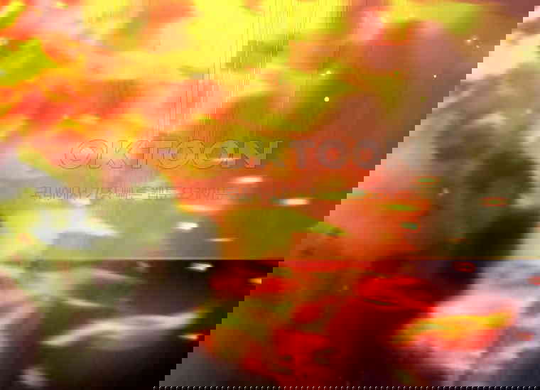 173050019230318zb34gutop.jpg
