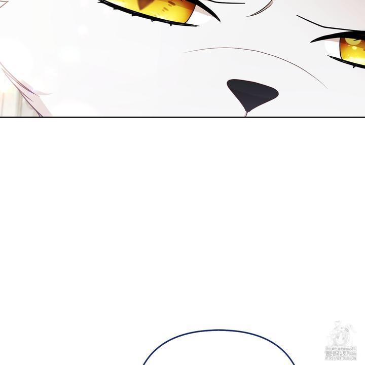 1732397429964lusor0zy4b9.jpg