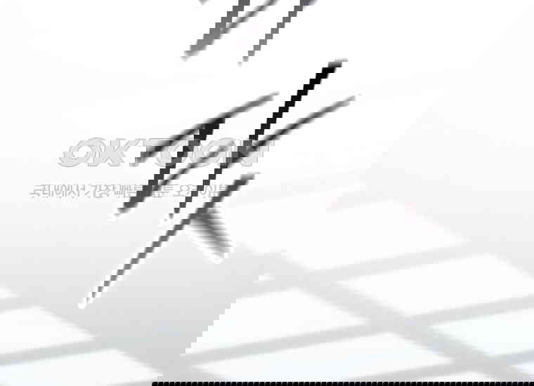 1730653960879tsnjldr92s.jpg