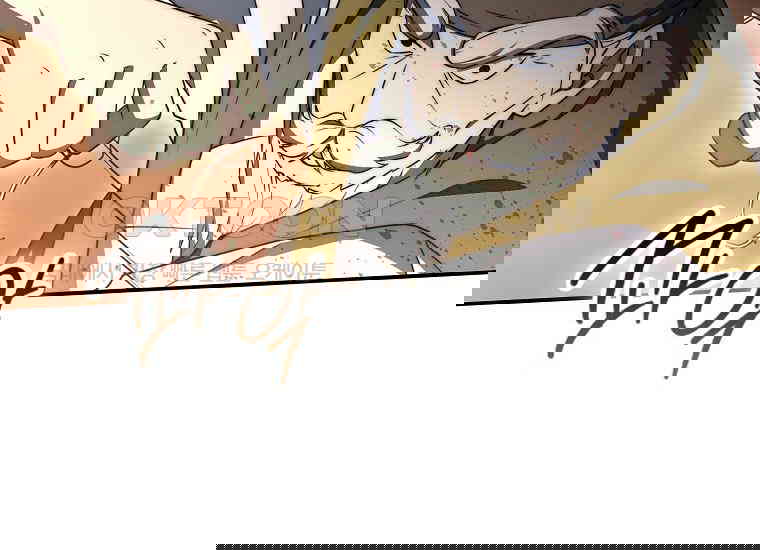 17306539819691w30arcfahh.jpg