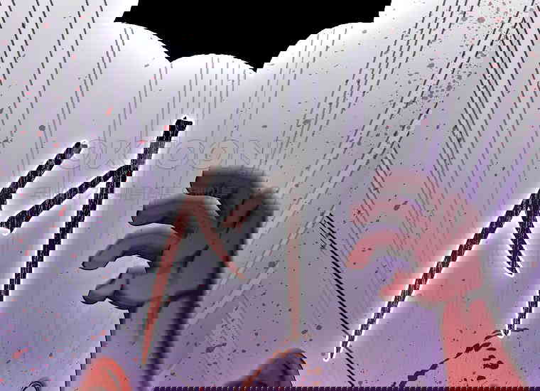 173065398228290w5nfbj92o.jpg