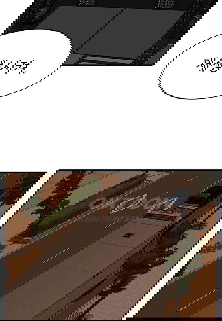 17310129348834nleilyt48x.jpg