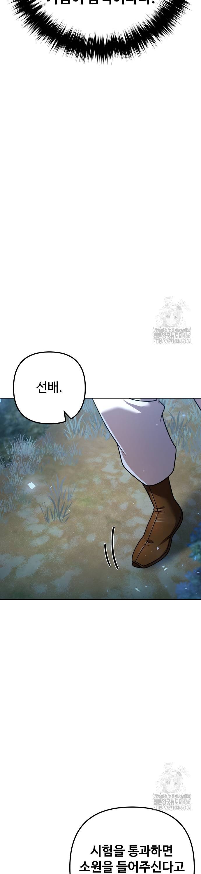 1734096525718plu903zfdxj.jpg