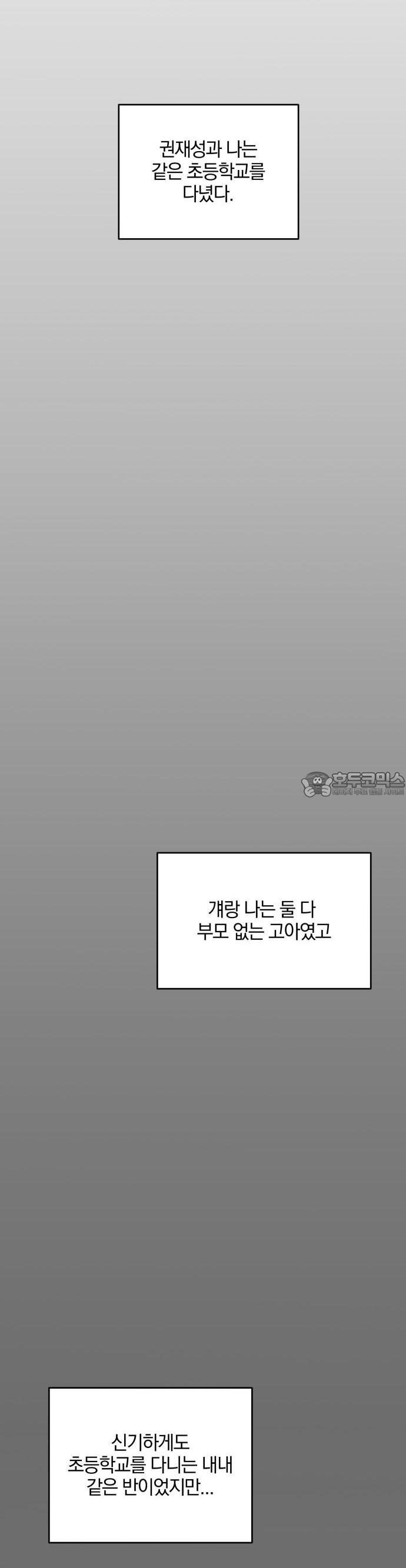 1740715522792lm64gp0vx8.jpg