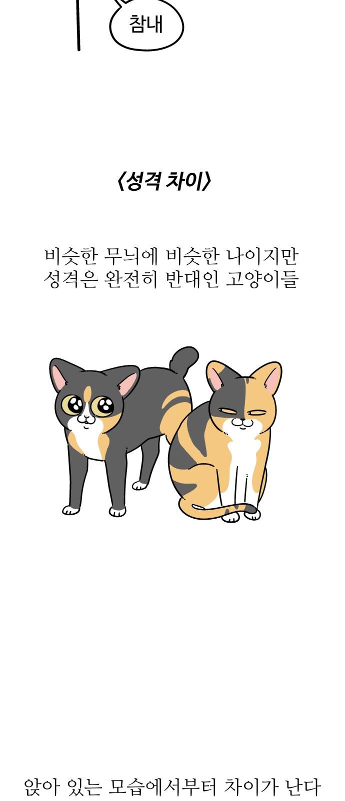 1742181583156324ayqdbafp.jpg