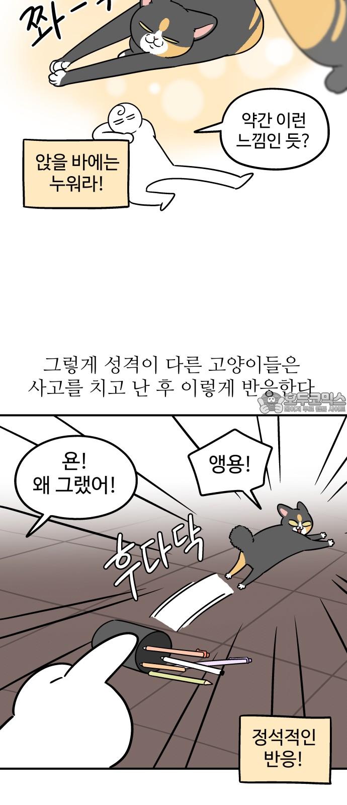 1742181583465gu4yuoi9f7q.jpg