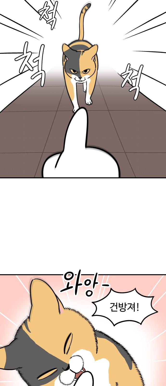 1742181583773x2et3viplon.jpg
