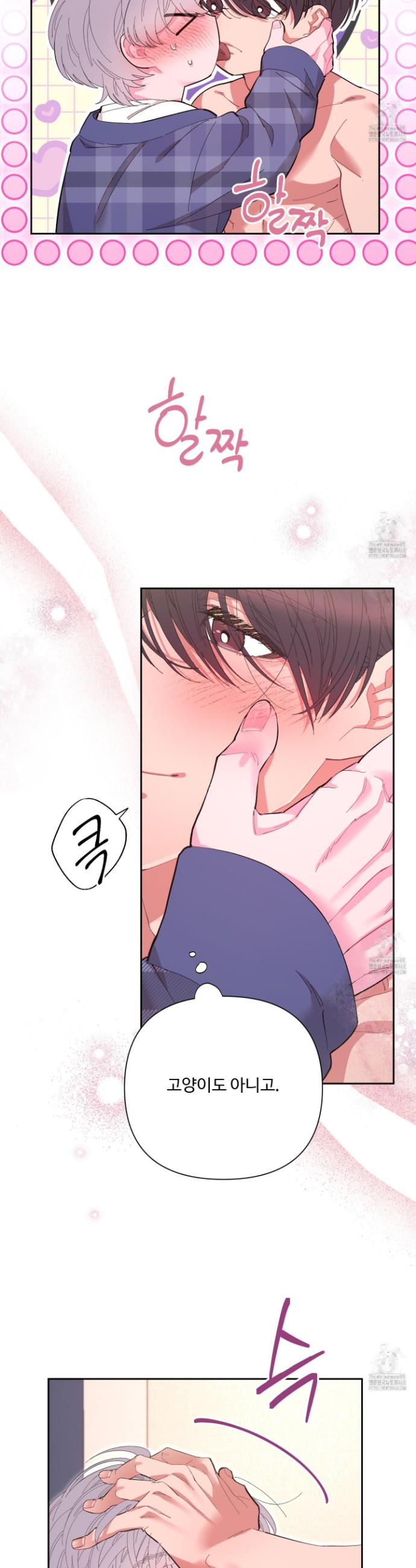 1742863916995vly0kuoj6am.jpg