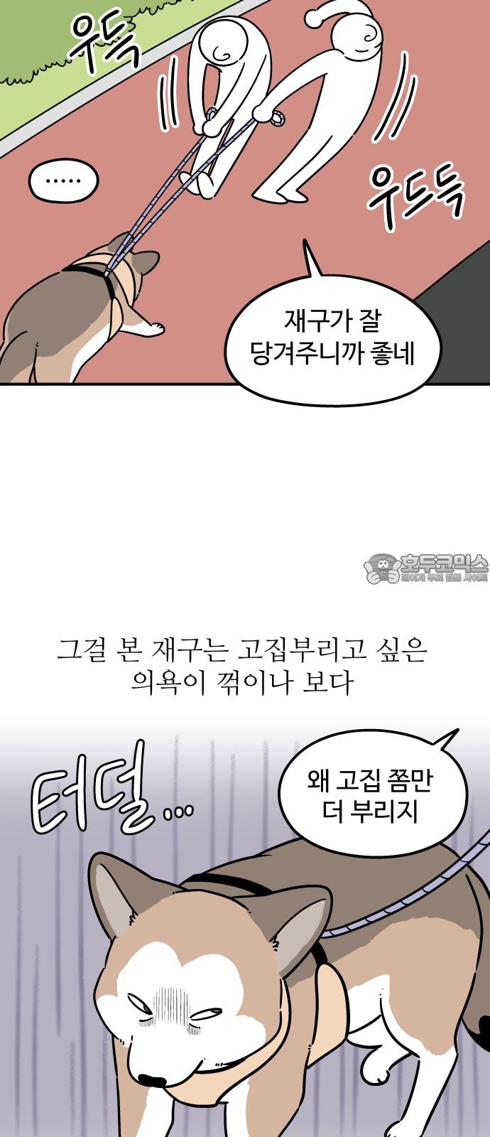 17409308466303lr37dbkuxy.jpg