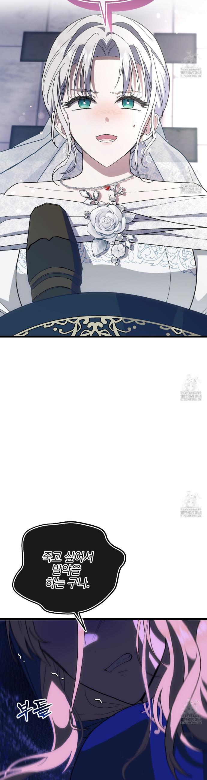 1743292792578rluuboeltc.jpg