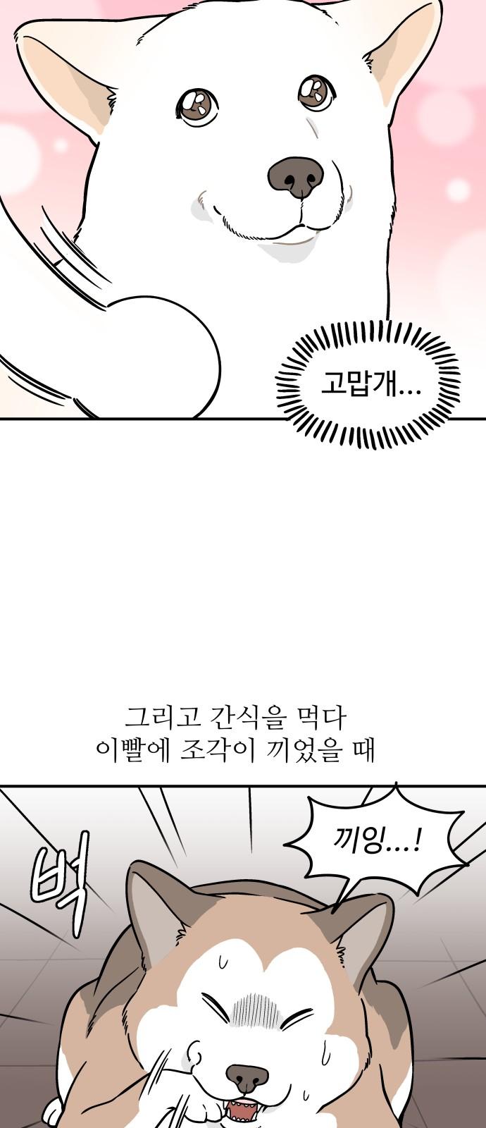 1745456893152fius3ayu81s.jpg