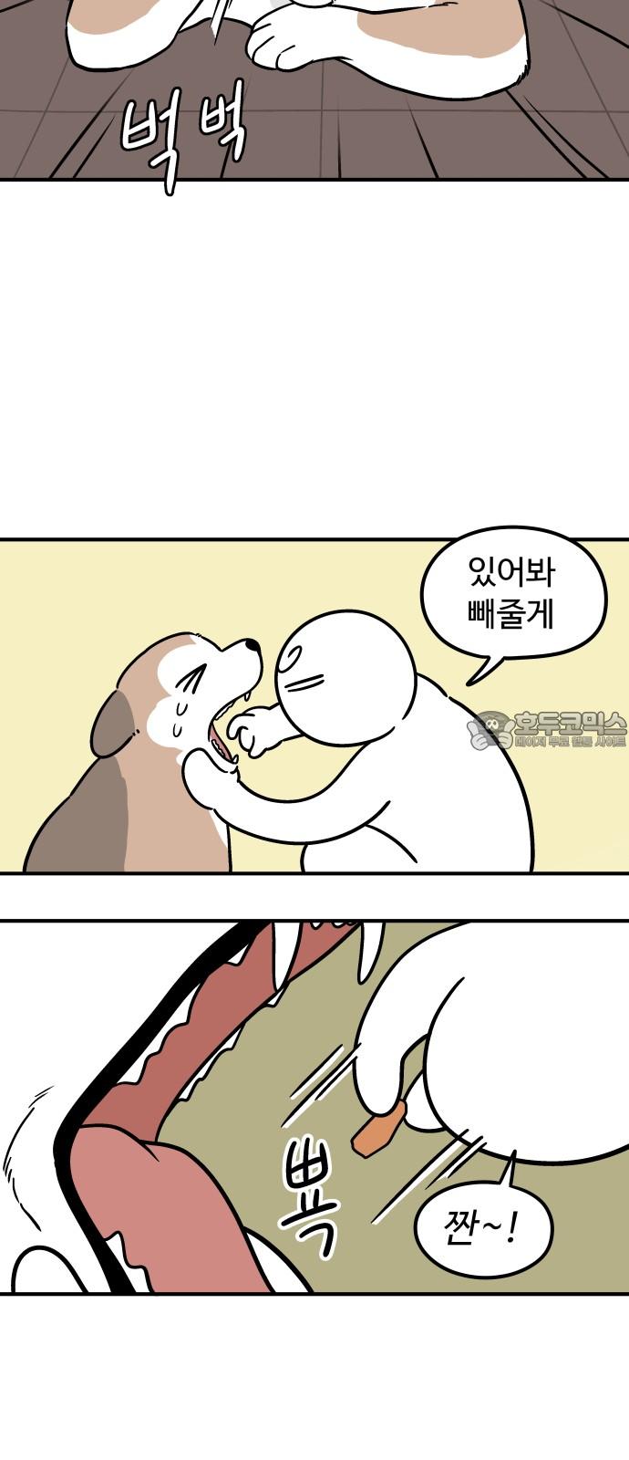 1745456896394ig44bozuw7.jpg