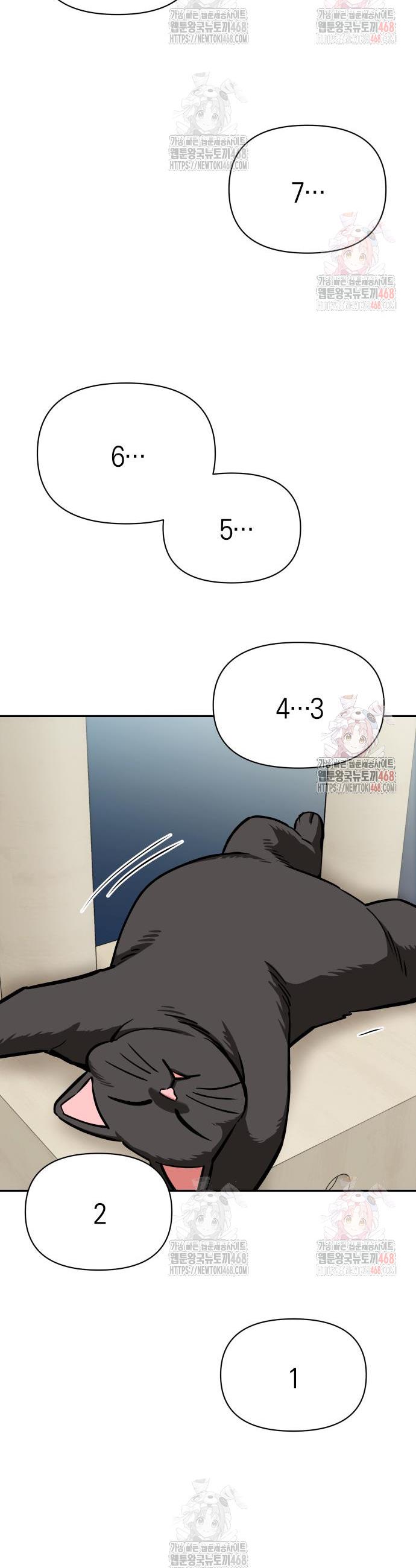 1747342635329hoh24f6kr0o.jpg
