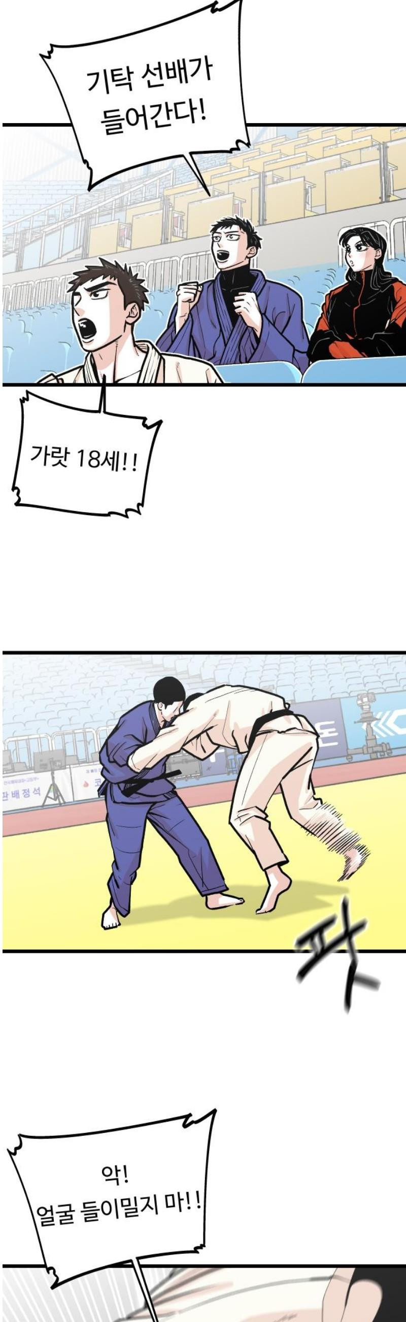 174746913860281qx4cbir8l.jpeg